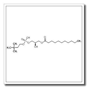 (2R)-2-Hydroxy-3-(undecanoyloxy)propyl 2-(trimethylammonio)ethyl phosphate
