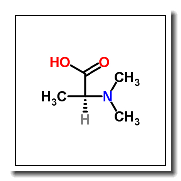 N,N-dimethyl-L-alanine CAS 2812-31-9