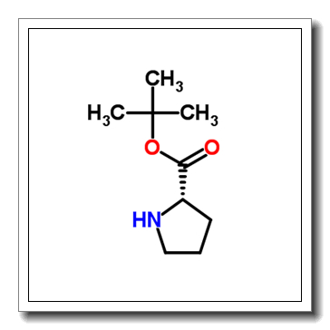tert-Butyl L-prolinate CAS 2812-46-6