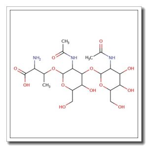 Glcnacβ(1-3)GalNAc-α-Thr