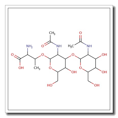 Glcnacβ(1-3)GalNAc-α-Thr