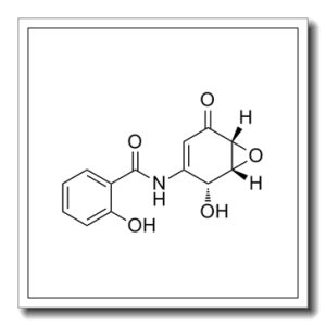(+)-DHMEQ