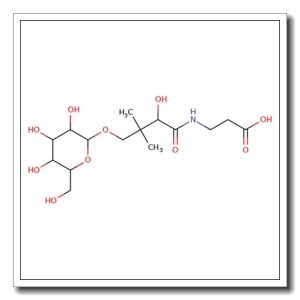 4′-O-(b-D-Glucopyranosyl)-D-pantothenic acid