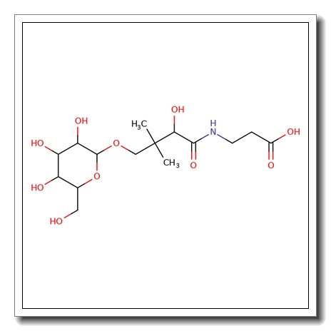 4′-O-(b-D-Glucopyranosyl)-D-pantothenic acid