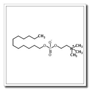 FOS-维生素B-12