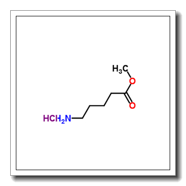 methyl 5-aminopentanoate,hydrochloride CAS 29840-56-0