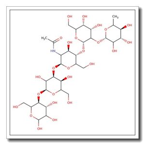 Blood group H pentaose type II
