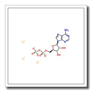 腺苷-5’-二磷酸三锂盐