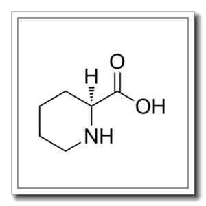 L-哌啶-2-甲酸