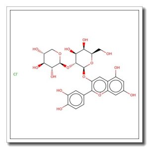 Cyanidin-3-O-sophoroside chloride