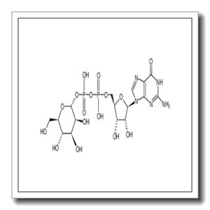 GDP-α-D-mannose