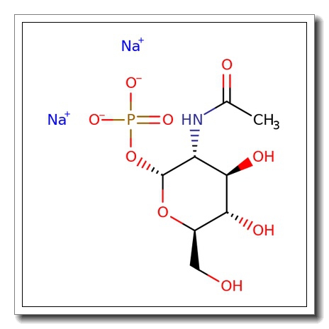 N-Acetyl-α-D-galactosamine-1-phosphate disodium