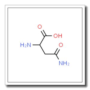 DL-天冬酰胺一水物