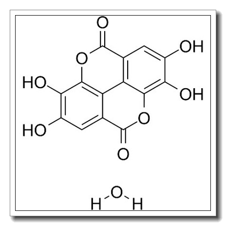鞣花酸水合物