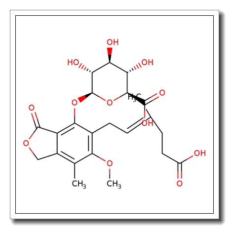 Mycophenolic acid b-D-glucuronide