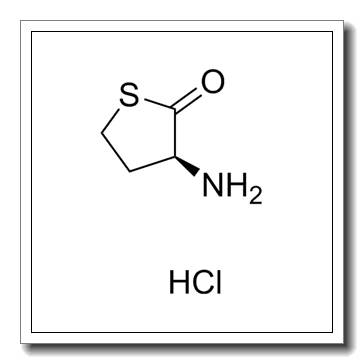 L-2-Amino-4-mercaptobutyric acid 1,4-thiolactone hydrochloride CAS 31828-68-9