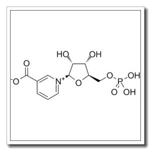 β-NicotinicAcidMononucleotide