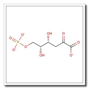 3-Deoxy-2-keto-6-phospho-D-galactonate lithium salt