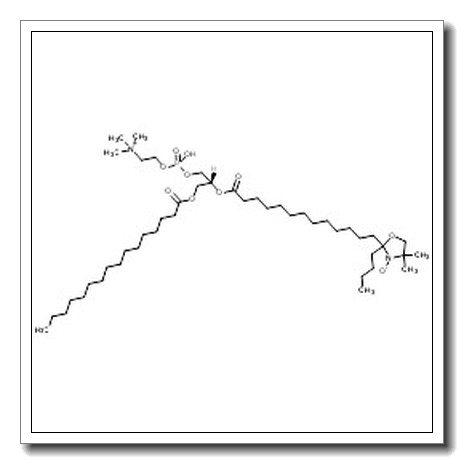 2-Butyl-2-{(9R)-6-hydroxy-2,2-dimethyl-6-oxido-11-oxo-9-[(palmitoyloxy)methyl]-5,7,10-trioxa-2-azonia-6λ5-phosphatricosan-23-yl}-4,4-dimethyl-1,3-oxazolidin-3-olate CAS 321595-12-4 