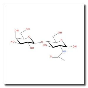 N-Acetyl-D-lactosamine – 200mM solution in water
