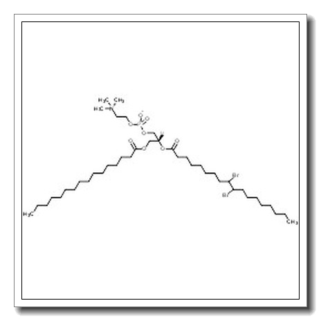 (2R)-2-[(9,10-Dibromooctadecanoyl)oxy]-3-(palmitoyloxy)propyl 2-(trimethylammonio)ethyl phosphate
