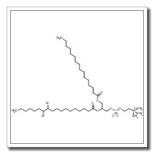 2-[(11,12-Dibromooctadecanoyl)oxy]-3-(palmitoyloxy)propyl 2-(trimethylammonio)ethyl phosphate