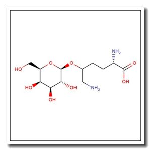 5-(Galactosylhydroxy)-L-lysine