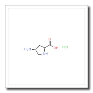 4-aminopyrrolidine-2-carboxylic acid dihydrochloride