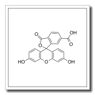 6-carboxyfluorescein CAS 3301-79-9