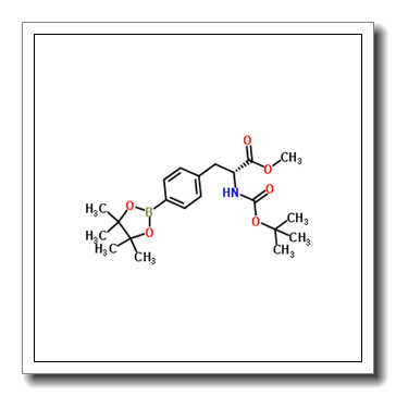 Methyl N-{[(2-methyl-2-propanyl)oxy]carbonyl}-4-(4,4,5,5-tetramethyl-1,3,2-dioxaborolan-2-yl)-D-phenylalaninate CAS 335030-24-5