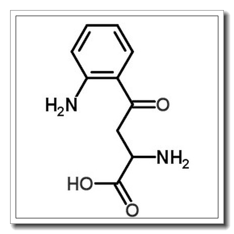 DL-犬尿氨酸