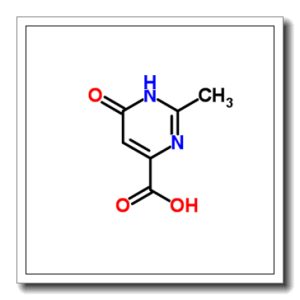 2-甲基-6-羟基-4-嘧啶甲酸