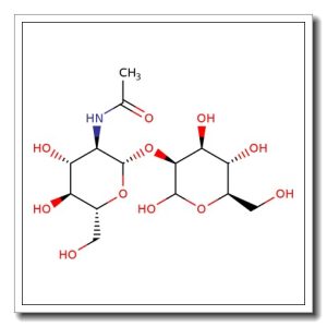 2-O-(2-Acetamido-2-deoxy-β-D-glucopyranosyl)-D-mannopyranose