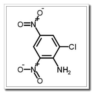 2-氯-4,6-二硝基苯胺
