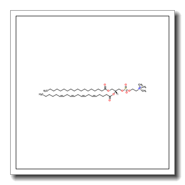 1-octadecanoyl-2-[(cis,cis,cis,cis)-5,8,11,14-eicosatetraenoyl]-sn-glycero-3-phosphocholine CAS 35418-59-8