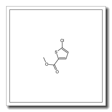 5-氯-2-噻吩羧酸甲酯