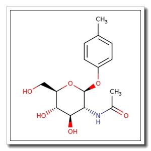 4-Methylphenyl 2-acetamido-2-deoxy-b-D-glucopyranoside