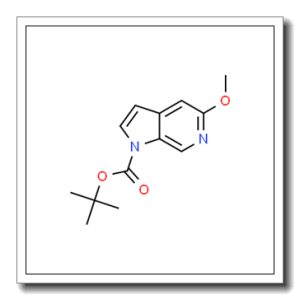 5-甲氧基-1H-吡咯并[2,3-C]吡啶-1-羧酸叔丁酯