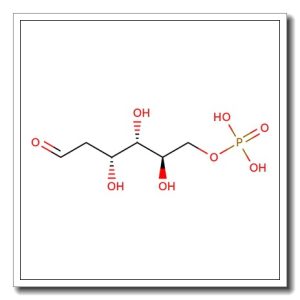2-Deoxy-D-glucose-6-phosphate