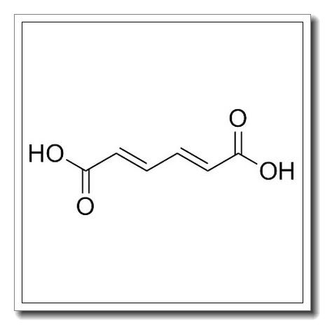 trans,trans-muconic acid CAS 3588-17-8 