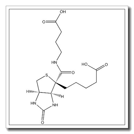 生物素酰基-4-氨基丁酸