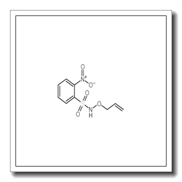 N-(Allyloxy)-2-nitrobenzenesulfonamide CAS 359442-67-4