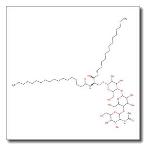 GA2-Ganglioside