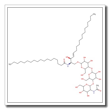 GA2-Ganglioside