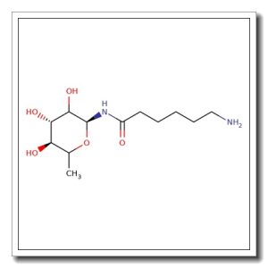 N-(e-Aminocaproyl)-b-L-fucopyranosyl amine