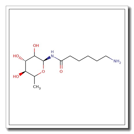 N-(e-Aminocaproyl)-b-L-fucopyranosyl amine