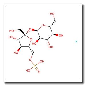 Sucrose 6′-monophosphate dipotassium