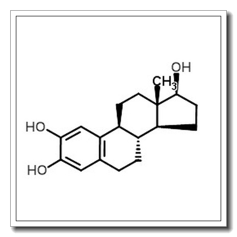 2-hydroxy-17β-estradiol CAS 362-05-0 