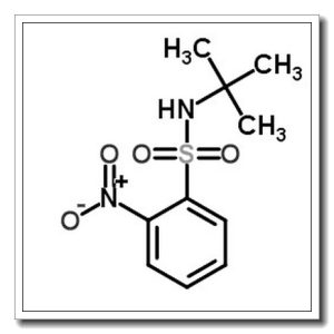 N-tert-Butyl-2-nitrobenzenesulfonamide