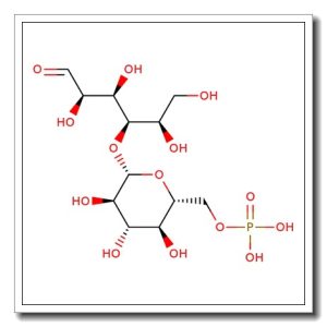 Cellobiose-6′-phosphate